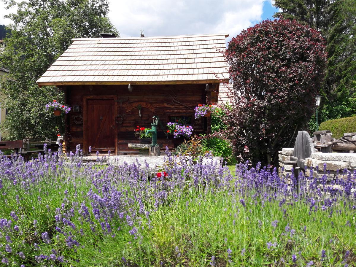 Hotel Stegmuehlhof Mauterndorf  Exteriör bild